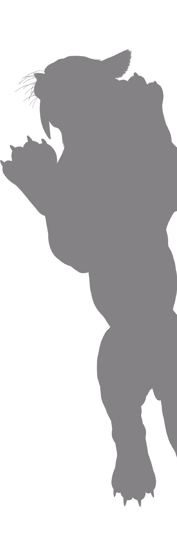 最強王図鑑キャラクターシルエット