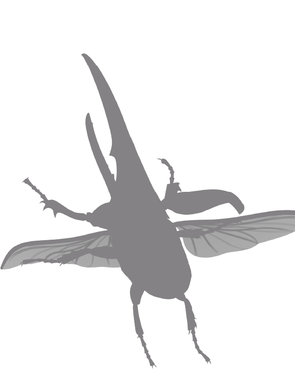 最強王図鑑キャラクターシルエット