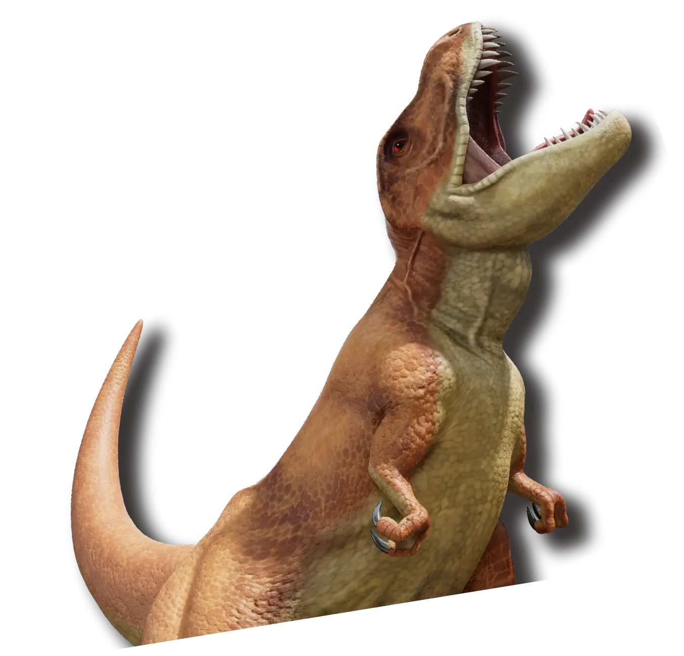 3Dド迫力ティラノサウルス