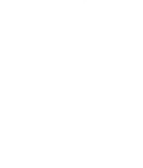 VS