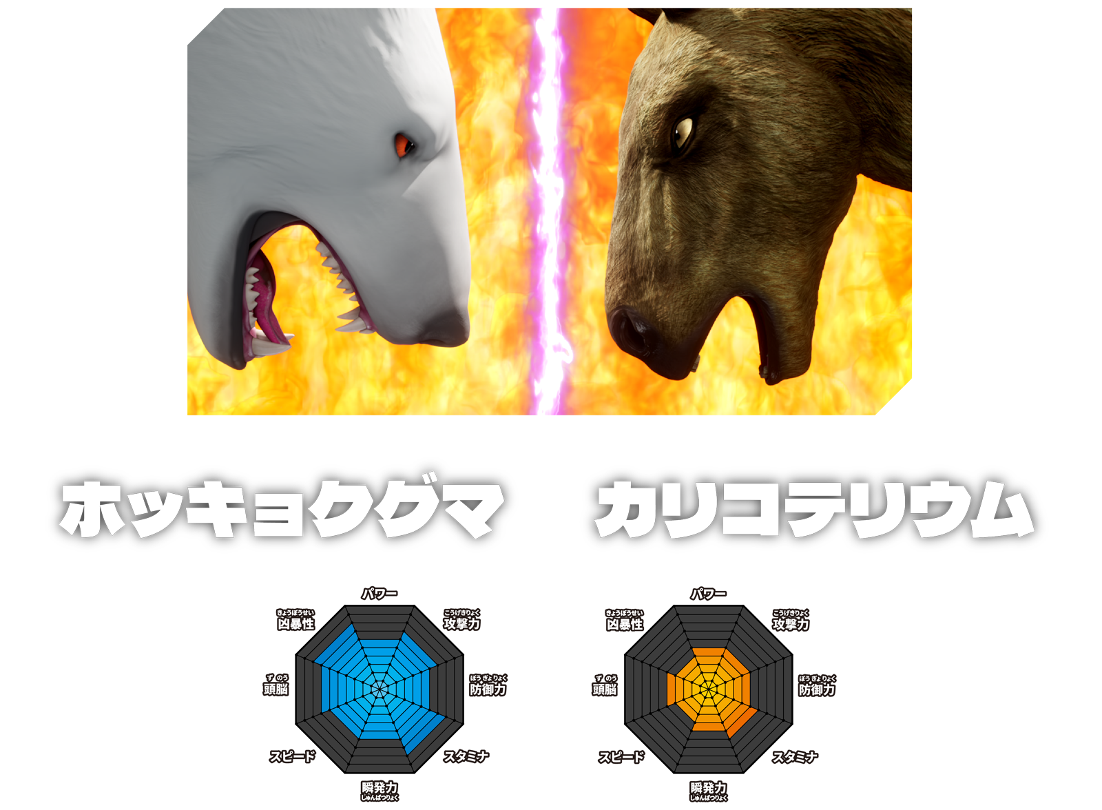 VOTE