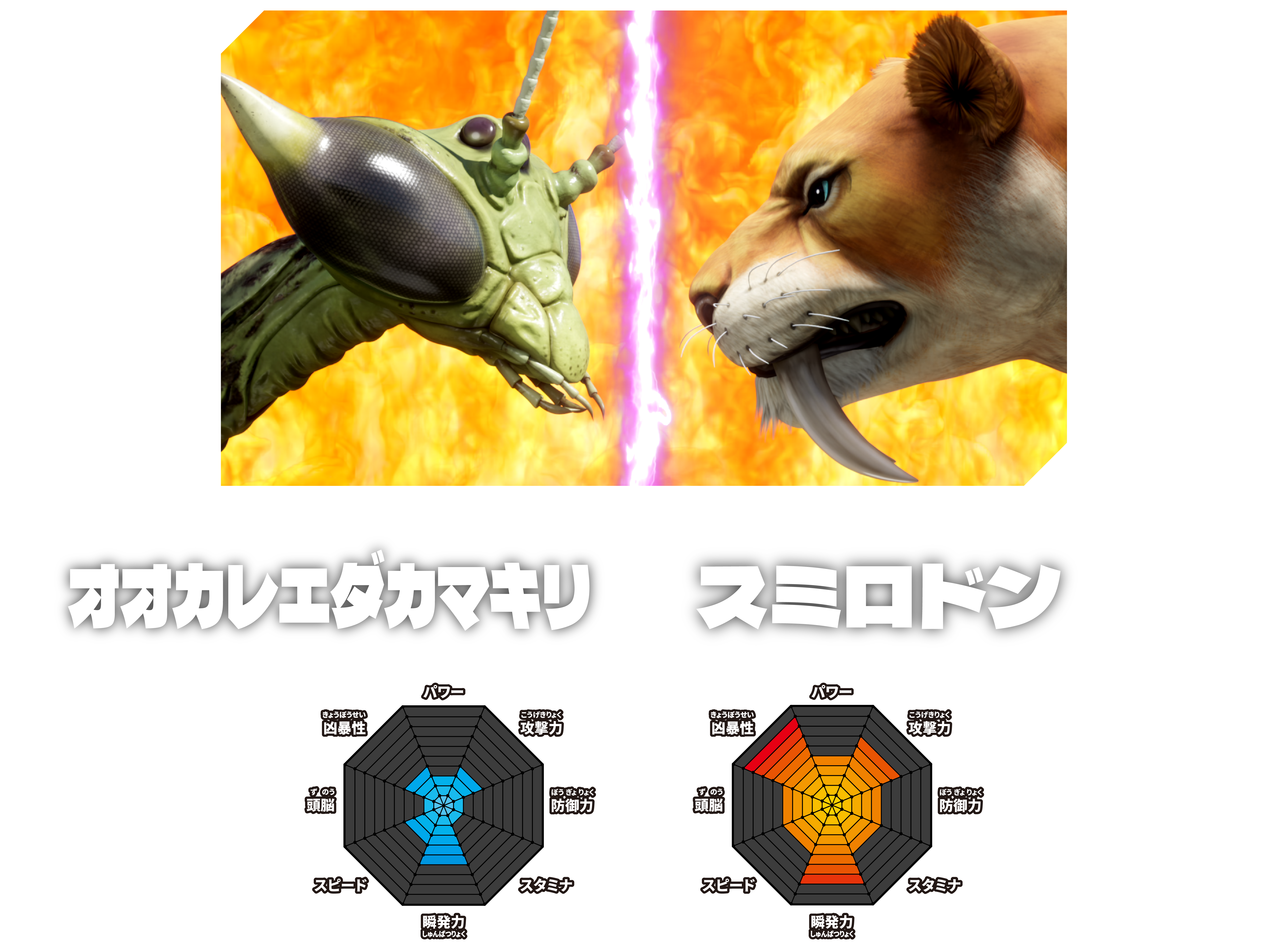 VOTE