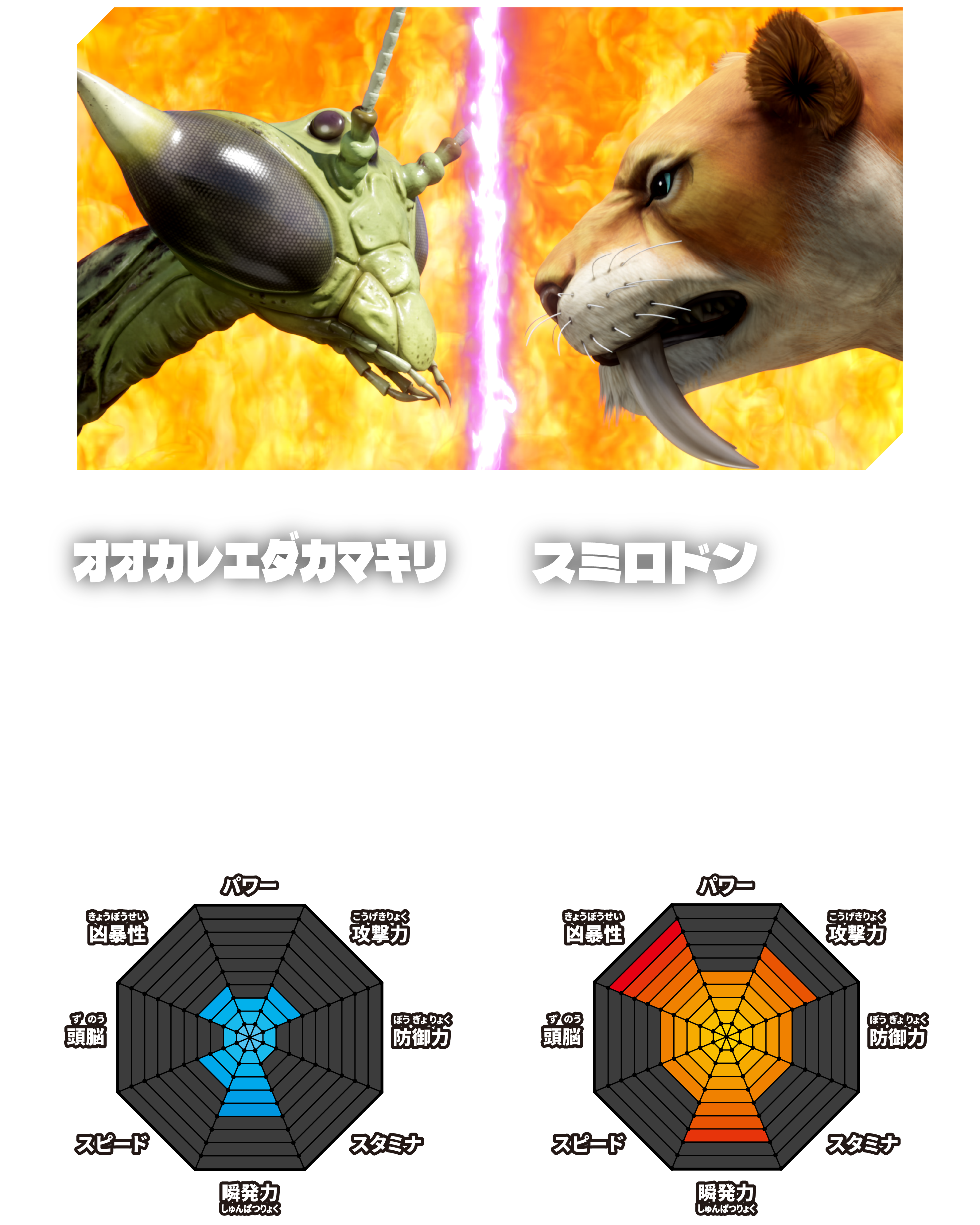 VOTE
