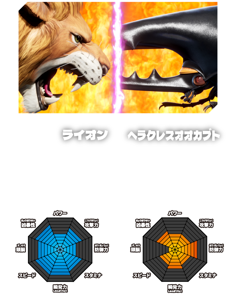 VOTE